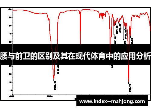 腰与前卫的区别及其在现代体育中的应用分析