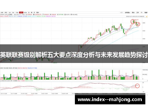 英联联赛级别解析五大要点深度分析与未来发展趋势探讨